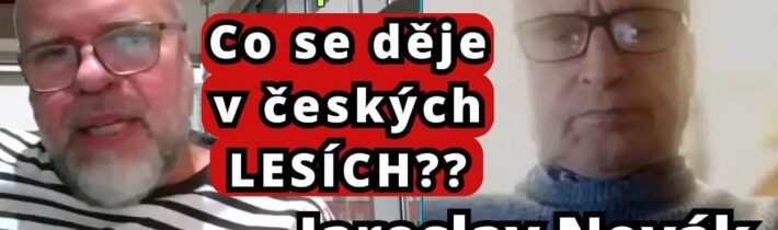 Jan Skalický a Jaroslav Novák o trendu dlouhodobého zanedbávání českých lesů