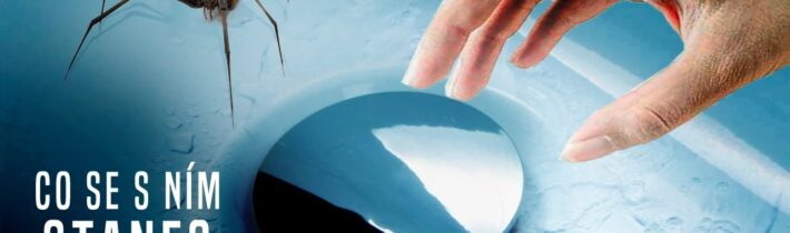 Co Se Stane S Pavoukem, Když Ho Spláchneme Do Kanalizace?