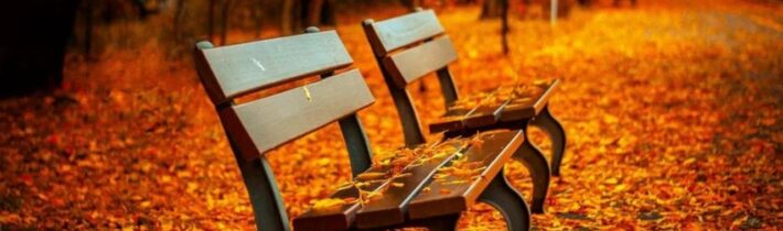 Dopoludnie na InfoVojne s Adrianom 16.12.2024