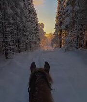 Dobré ráno, víta Vás tím Telegram Zem&Vek Nedeľa, 24. november 2024 bude ob…