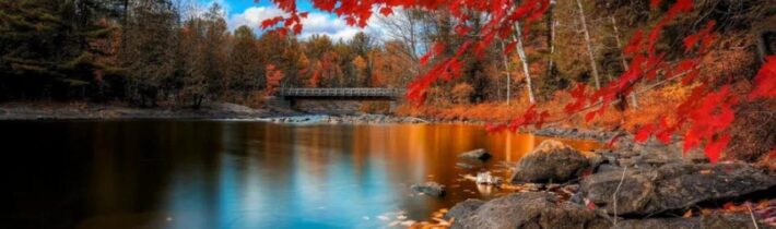 Dopoludnie na InfoVojne s Adrianom 6.12.2024