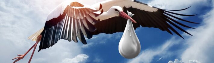 V celé EU byl zaznamenán dramatický pokles porodnosti