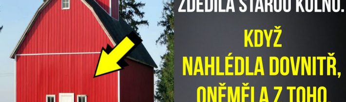 Opuštěná žena zdědila starou kůlnu. Když nahlédla dovnitř, oněměla z toho, co uviděla…