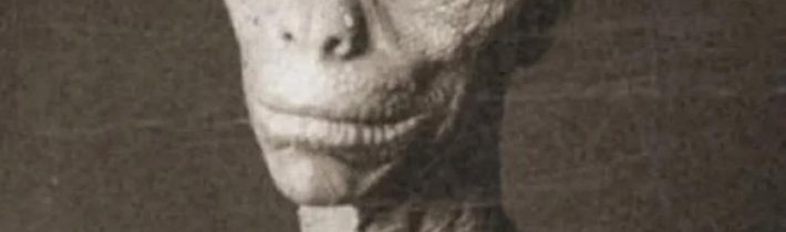 Nevidíme je, protože se a) umějí maskovat, b) mají jiné vibrace,které my většinou nevnímáme. Ale jsou tu.   Jana Kiara