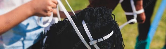 NA AKEJ TRÁVE FIČIA POLITICKÉ HOBBY KONÍKY?Priatelia, vzhľadom na to, že najzn…