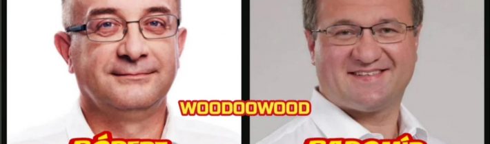 Šalitroš vylúčený z Hlasu nepracoval pre ľudí, ale pre seba 🤢