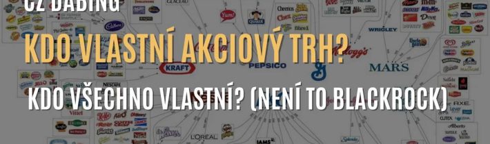 Ian Carroll: Kdo vlastní akciový trh? Kdo všechno vlastní? (není to BlackRock) – CZ DABING