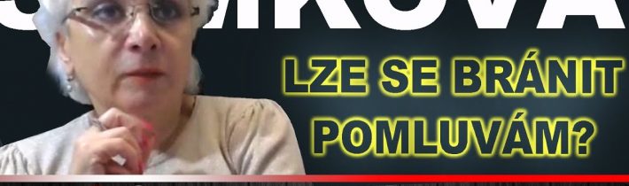 Samková: Lze se bránit pomluvám? Několik nápadů aneb Viděno očima právníka