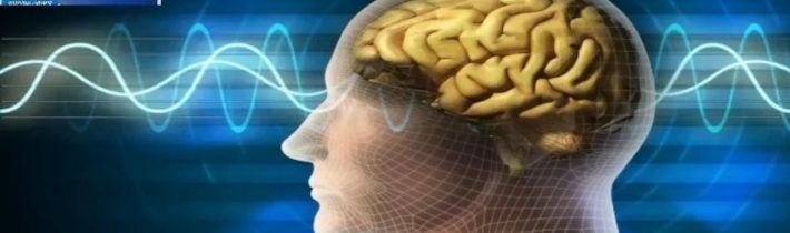 Necenzurované net CXXXVIII – 22.02.2025