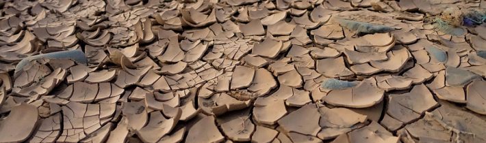 Uniklý dokument USAID nastiňuje plán na vyvolání celosvětového hladomoru