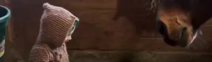 @romipe78  … Romi Nova Video Blog TikTok