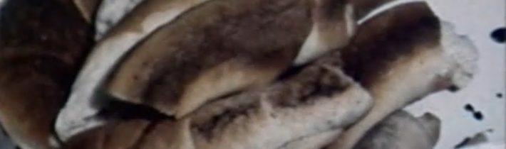 Nekupujte menejcenné tovary (1984)