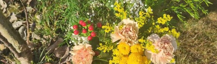 Přeji všem našim ženám to nejlepší k dnešnímu Mezinárodnímu dni žen. Žijte v míru, zdraví a štěstí..