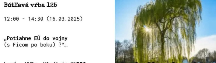 Bútľavá vŕba 125