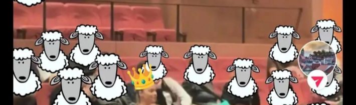 @parlamentnezoo #slovenskytiktok #slovensko #slovensko #romanatabak #fyp  …