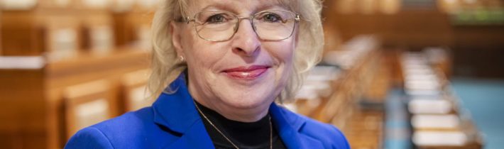 Ve jménu bezpečí nelze obětovat svobodu – Konzervativní noviny