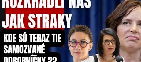 Rozkradli nás jak straky. Kde sú samozvané odborníčky s patentom na rozum?