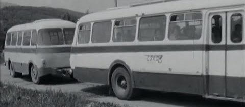 Verejná bezpečnosť zasahuje (1983)