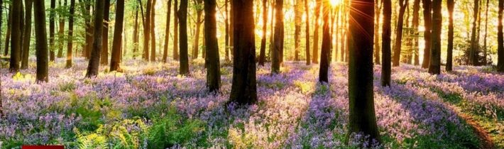 Dopoludnie na InfoVojne s Adrianom 23.4.2025