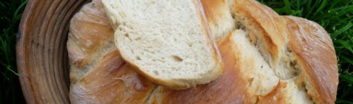 Když chleba stojí víc než v Německu. Český paradox drahých potravin » Politikařina