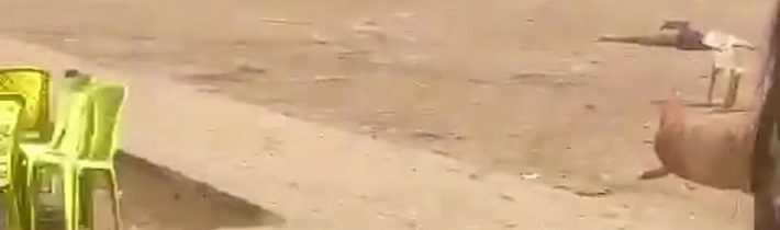 🇮🇳Teroristický útok v IndiiPákistánští teroristé zahájili palbu na turistickou skupinu v údolí