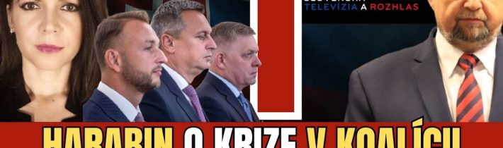 ŠTEFAN HARABIN 1 ČASŤ: VLÁDA V KRÍZE? Transakčná daň, COVID a mocenský boj v koalícii | TVOTV