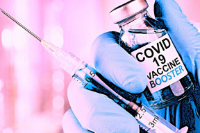 O čem to vlastně bylo?