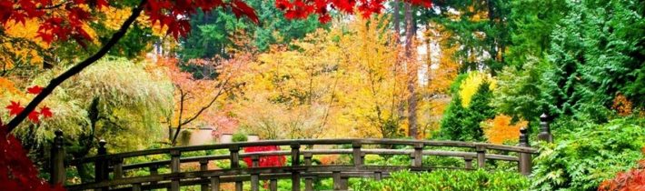 Dopoludnie na InfoVojne s Adrianom 6.5.2025