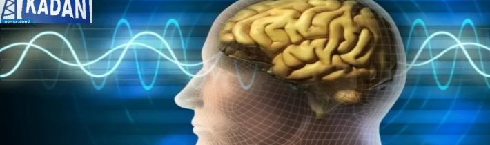 Necenzurované net 146 – 22.06.2025