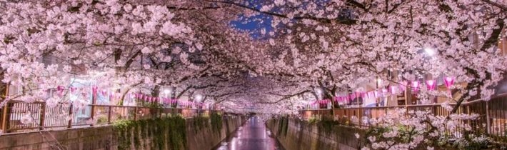 Dopoludnie na InfoVojne s Adrianom 6.6.2025