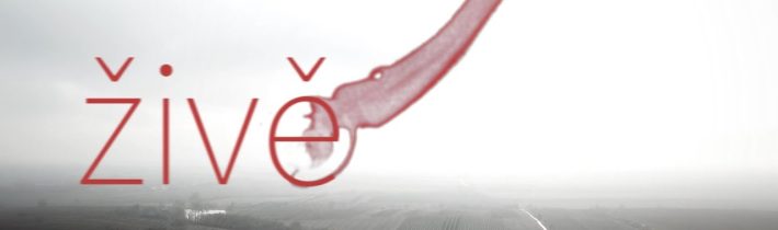 Tajemno a záhady ŽIVĚ – DRUHÝ POKUS  – občasně děsivý stream