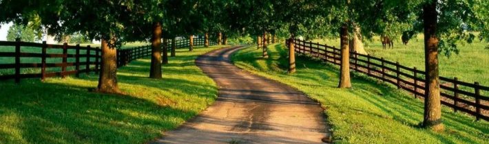 Dopoludnie na InfoVojne s Adrianom 24.6.2025