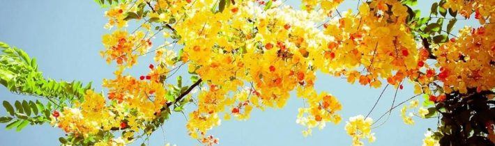 Dopoludnie na InfoVojne s Adrianom 23.6.2025