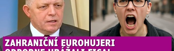 Fica zasypali eurohujeri urážkami ako zmyslov zbavení, komentátor Martiška s nimi vybabral