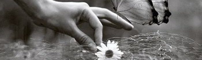 Belobog » CEZ DEŇ, ČI V ČASE POLNOCI