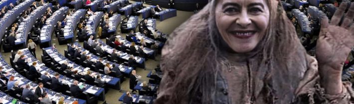 Hlasování o nedůvěře Lejnové: Europoslanci z ODS babu korupčnici podrží. Možná přihodí i nějaký ten bitcoin. Česká opozice bude hlasovat kompletně pro odvolání kriminálnice. Mafie zbrojařů proti mafii ekoteroristů. Kdo zvítězí je vlastně lhostejné