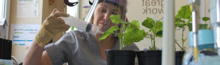 Vedci našli kľúč k nekonečnej úrode?