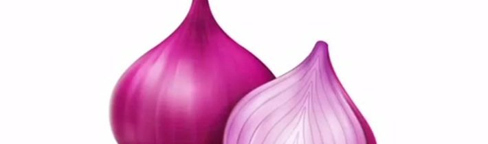 10 ANTIPARAZITÁRNÍCH POTRAVIN• PAPÁJA• ČESNEK• CIBULE• KOKOS• ZÁZVOR• HŘEBÍČEK• KURKUMA• DÝŇOVÁ SEMÍNKA•