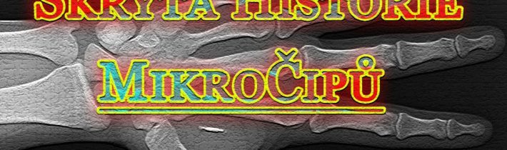 Skrýtá Historie MikroČipů