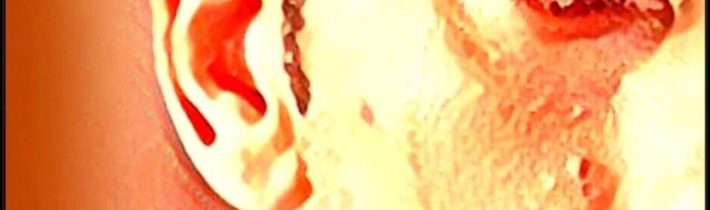 NOVAK A BREXIT: KEĎ DOMOV JE VOĽBANovak Djokovič a Brexit. Čo majú spoločné? …