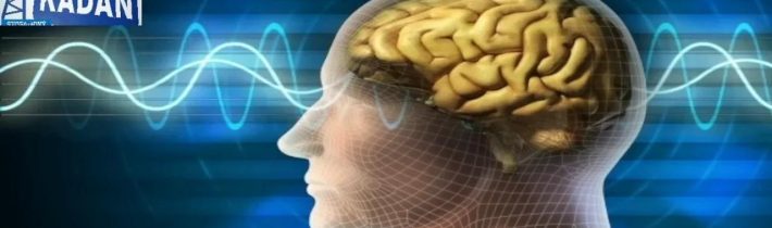 Necenzurované net 149 – 03.08.2025