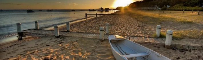 Dopoludnie na InfoVojne s Adrianom 08.08.2025