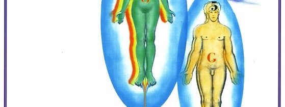 Námesačnosť a „posadnutosť zlým duchom“.. – OZ Biosféra