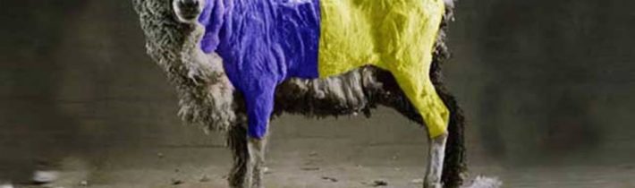 Váleční našeptavači dosáhli svého: Trumpovy vztahy k Putinovi na bodu mrazu. Sankce a dodávky zbraní do Kyjeva v plném proudu. Indie ani Čína nátlaku USA však neustoupí. Zálohy Kyjeva rozdrceny na prach. Hodí Západ ručník do ringu?