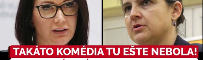 V SaS majú konflikt ako babky na trhu: Cigániková rozmetala Kolíkovú aj Bajo Holečkovú