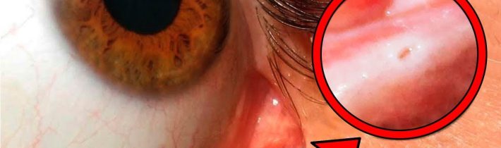 TOP 5 Věci, Které Jste Nevěděli Ještě Před 5 Minutami