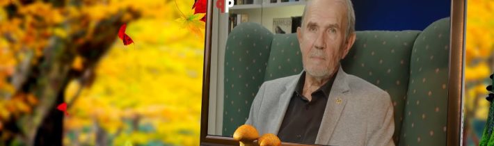 Ano ano, ne ne! Okamura a Konečná byli v ČT jediní. Babišův chytrý tah. SPOLU jen 17? Všichni svatí