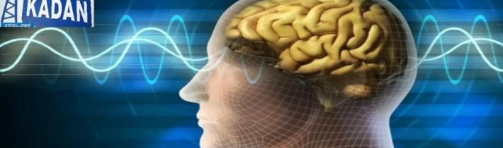 Necenzurované net 152 – 28.09.2025