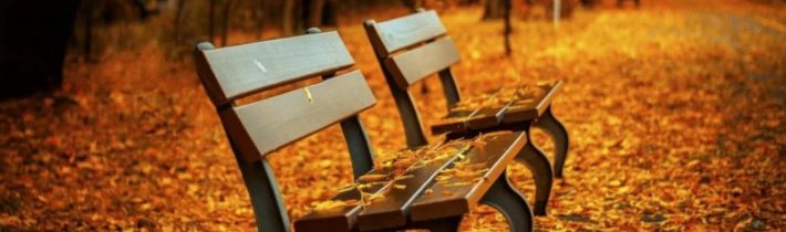 Dopoludnie na InfoVojne s Adrianom 29.9.2025