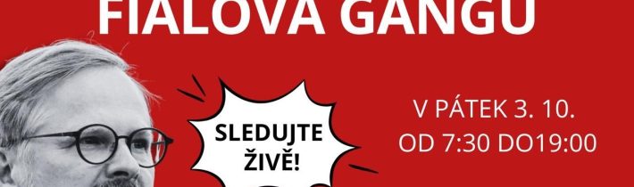 👉 Hříchy Fialova gangu aneb proč volit Janu Bobošíkovou (10)